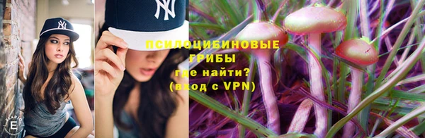 COCAINE Няндома