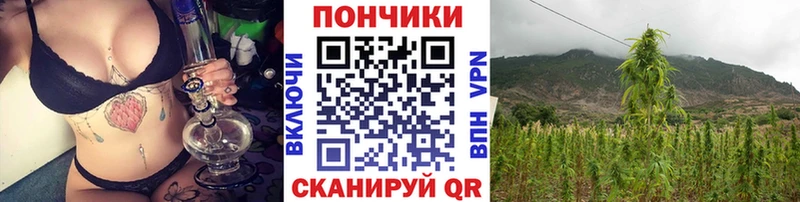 Купить  Пласт  Конопля Amnesia 